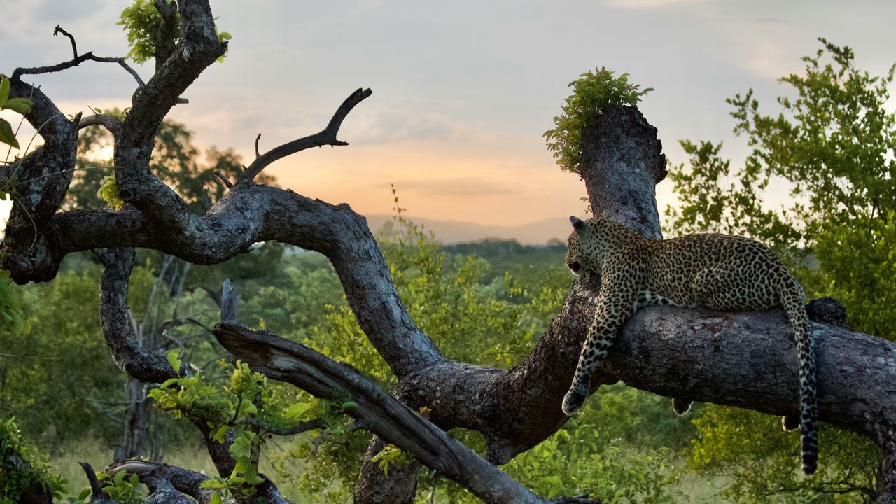 Hoe kies je de beste rondreis door Zuid-Afrika? | Matoke Tours